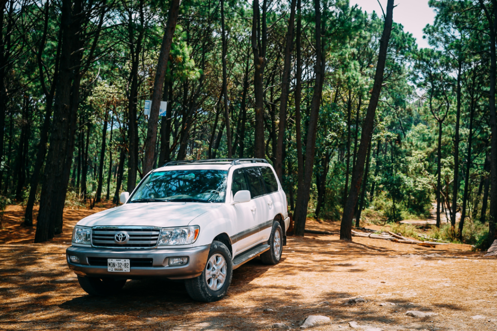 8 (Odd) Things I Keep in My&nbsp;Car