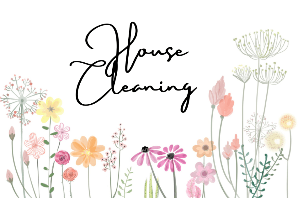 Collections Journal: Cleaning