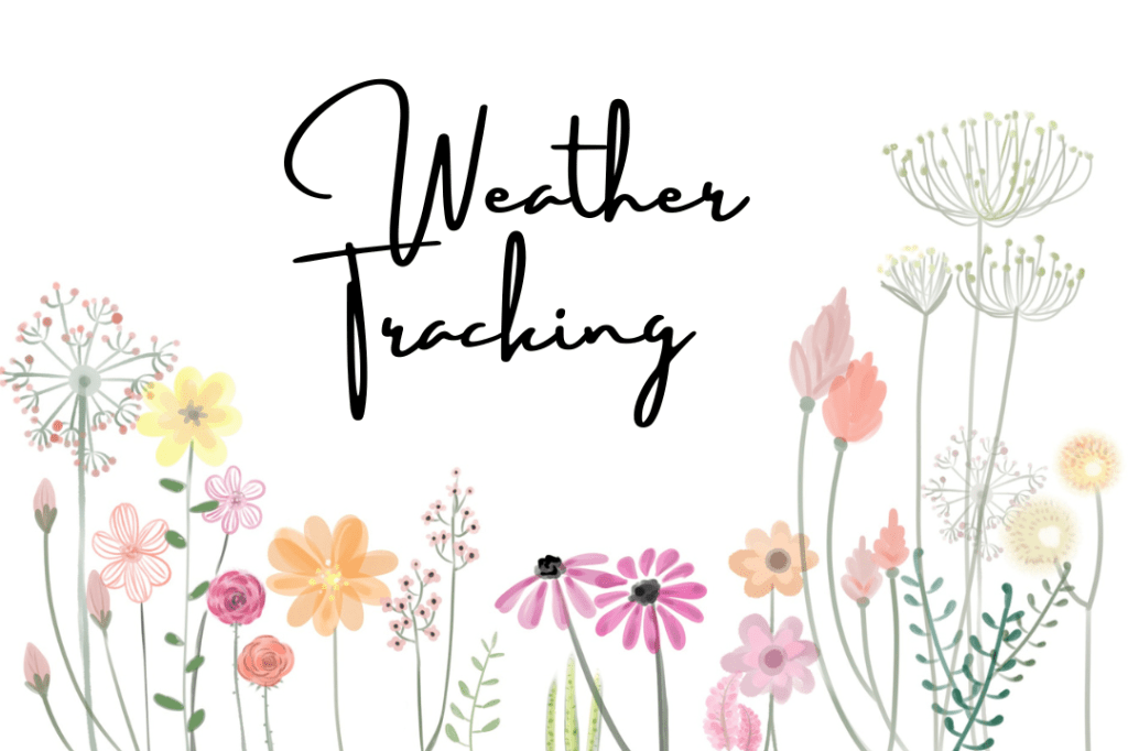 Collections Journal: Weather